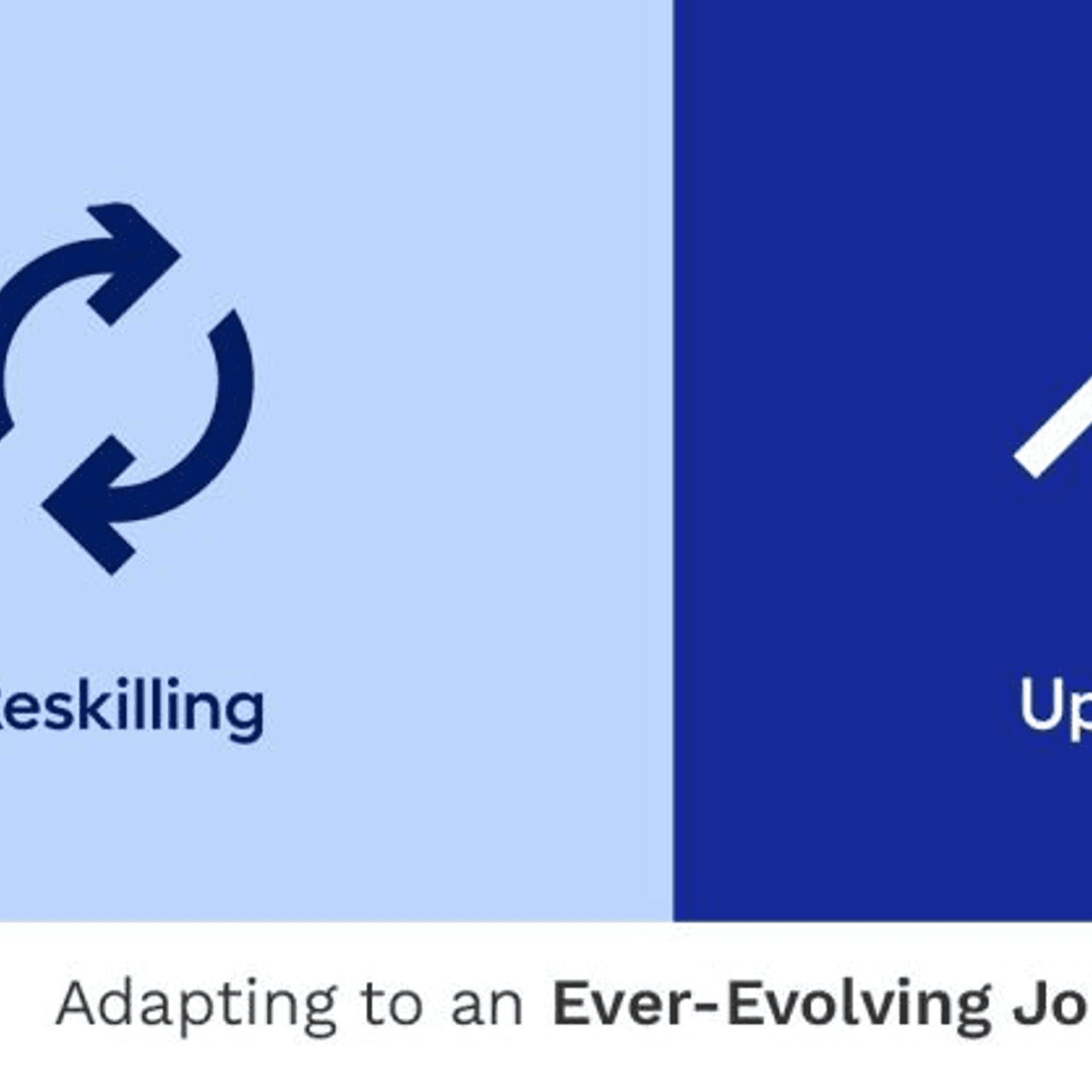 Reskilling and Upskilling: Adapting to an Ever-Evolving Job Market
